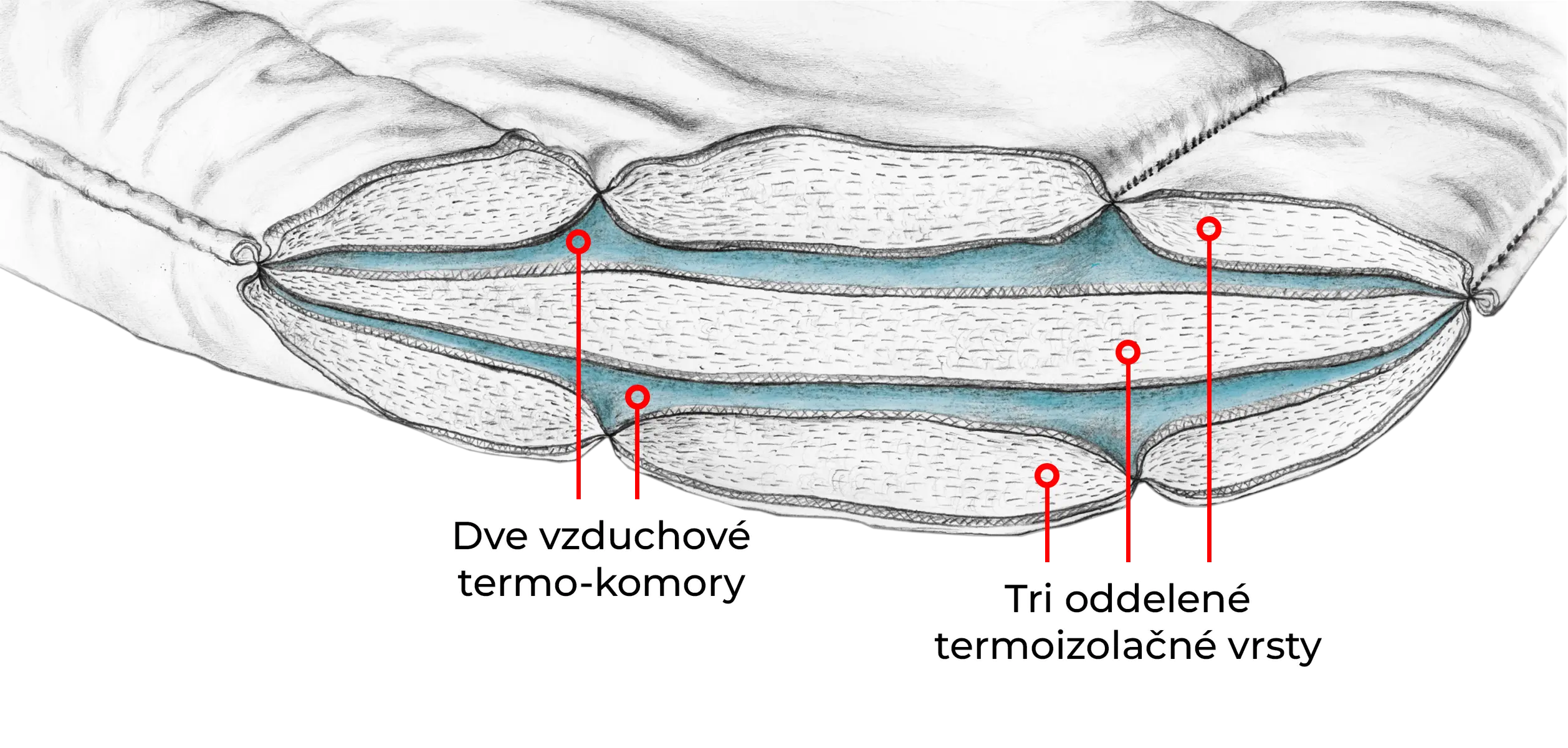 trimaxRez+text (2) trimaxRez+text (2)